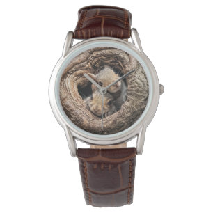 Cutest Baby Animals   Two Young Squirrels Watch