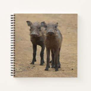 Cutest Baby Animals   Two Young Warthogs Notebook