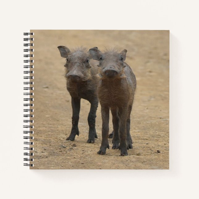 Cutest Baby Animals | Two Young Warthogs Notebook (Front)