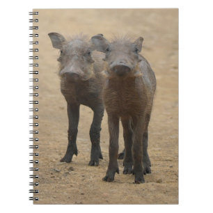 Cutest Baby Animals   Two Young Warthogs Notebook