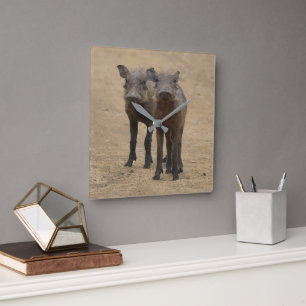 Cutest Baby Animals   Two Young Warthogs Square Wall Clock