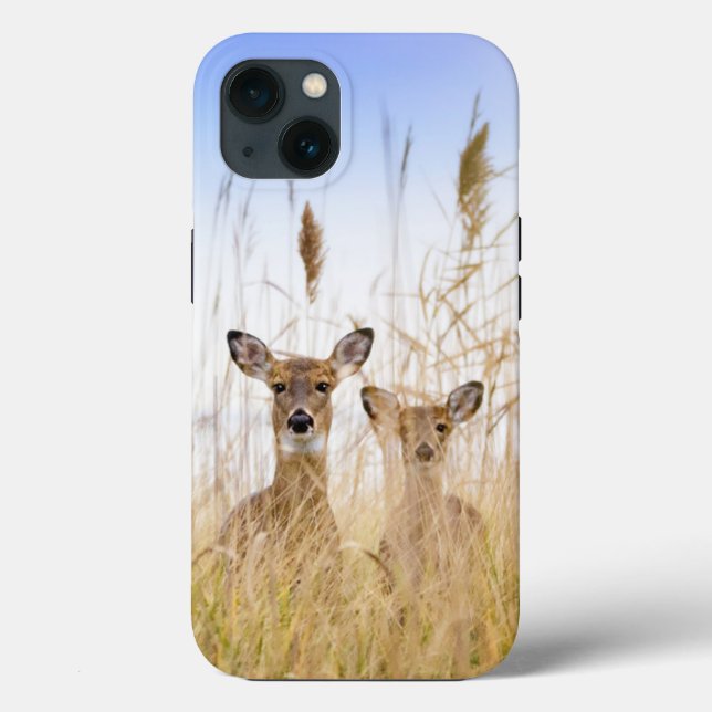 Cutest Baby Animals | Two Young White Tailed Deer Case-Mate iPhone Case (Back)