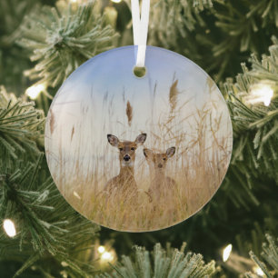 Cutest Baby Animals Two Young White Tailed Deer Glass Tree Decoration
