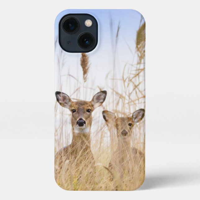 Cutest Baby Animals | Two Young White Tailed Deer iPhone Case (Back)
