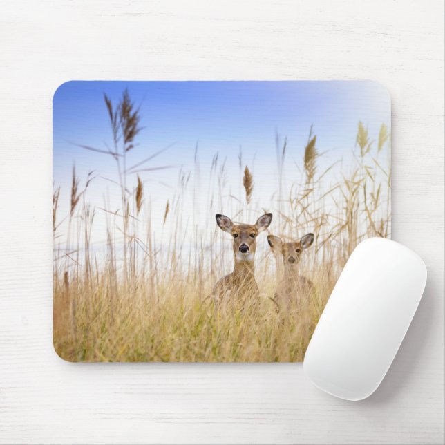 Cutest Baby Animals | Two Young White Tailed Deer Mouse Mat (With Mouse)