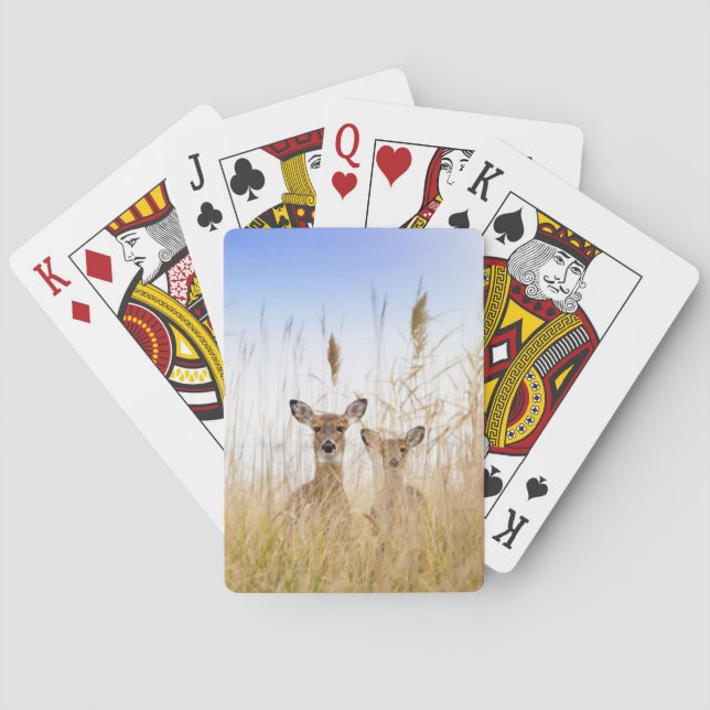 Cutest Baby Animals | Two Young White Tailed Deer Playing Cards (Back)