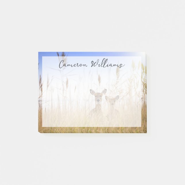 Cutest Baby Animals | Two Young White Tailed Deer Post-it Notes (Front)