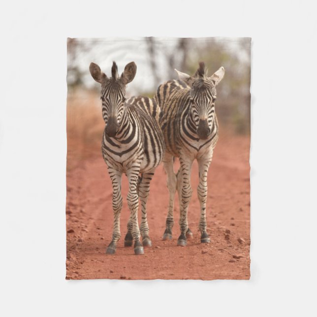 Cutest Baby Animals | Two Young Zebras Fleece Blanket (Front)