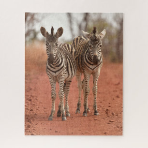 Cutest Baby Animals   Two Young Zebras Jigsaw Puzzle