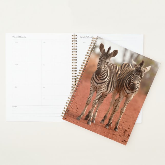 Cutest Baby Animals | Two Young Zebras Planner (Display)