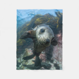 Cutest Baby Animals Underwater Cape Fur Seal Fleece Blanket