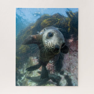 Cutest Baby Animals   Underwater Cape Fur Seal Jigsaw Puzzle
