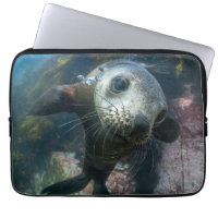 Cutest Baby Animals | Underwater Cape Fur Seal