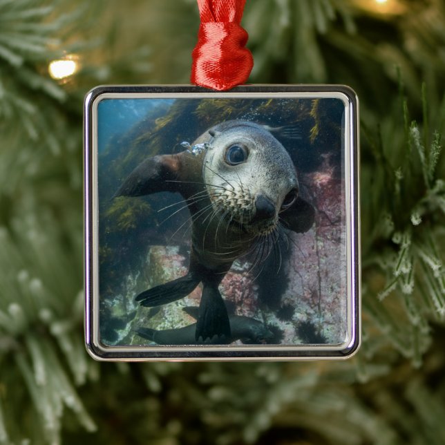 Cutest Baby Animals | Underwater Cape Fur Seal Metal Tree Decoration (Tree)