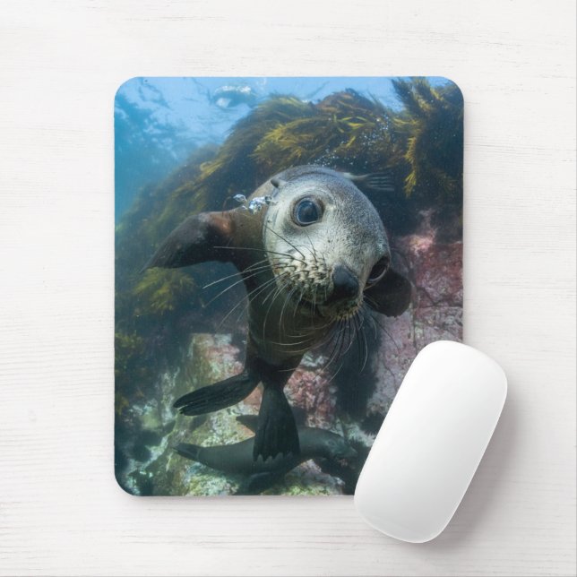 Cutest Baby Animals | Underwater Cape Fur Seal Mouse Mat (With Mouse)
