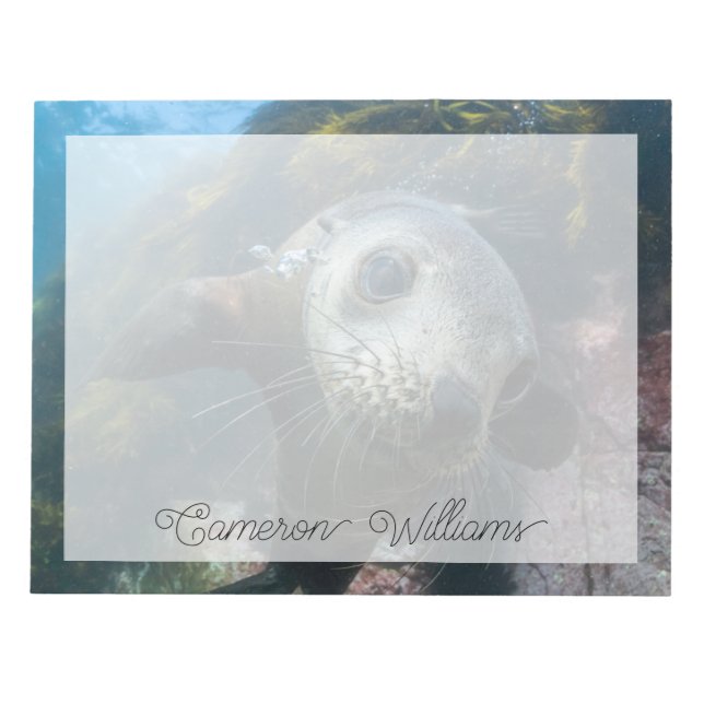 Cutest Baby Animals | Underwater Cape Fur Seal Notepad (Front)