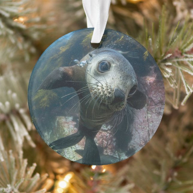 Cutest Baby Animals | Underwater Cape Fur Seal Ornament (Tree)