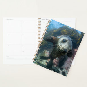 Cutest Baby Animals Underwater Cape Fur Seal Planner