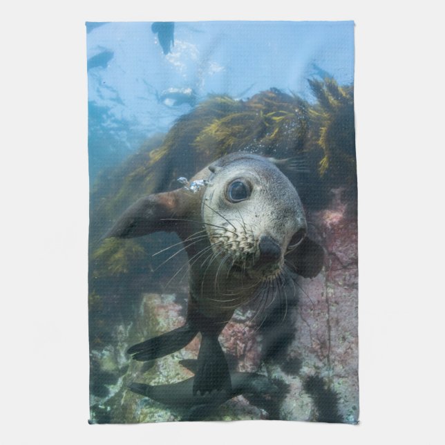 Cutest Baby Animals | Underwater Cape Fur Seal Tea Towel (Vertical)