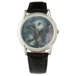 Cutest Baby Animals   Underwater Cape Fur Seal Watch