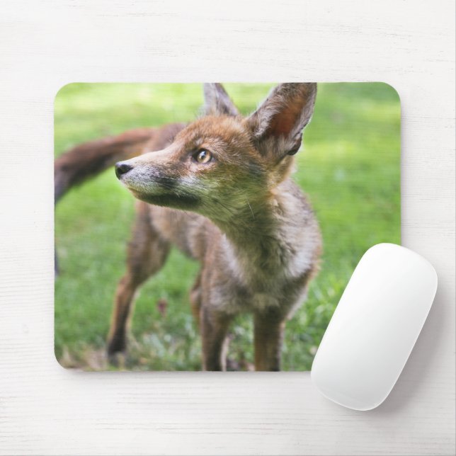 Cutest Baby Animals | Urban Fox Mouse Mat (With Mouse)