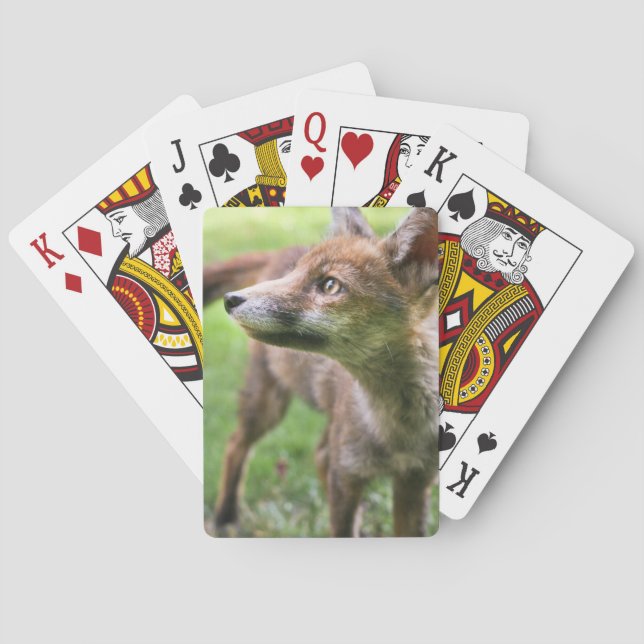 Cutest Baby Animals | Urban Fox Playing Cards (Back)