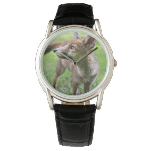 Cutest Baby Animals Urban Fox Watch