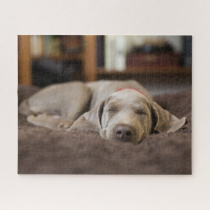 Cutest Baby Animals   Weimaraner Puppy Sleeping Jigsaw Puzzle