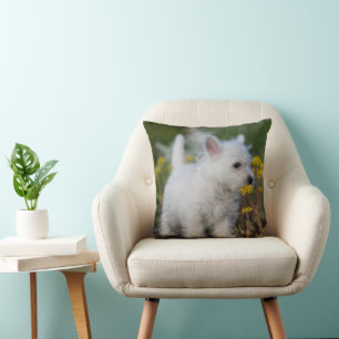 Cutest Baby Animals   West Highland White Terrier Cushion