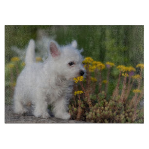 Cutest Baby Animals   West Highland White Terrier Cutting Board