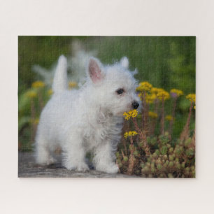 Cutest Baby Animals   West Highland White Terrier Jigsaw Puzzle