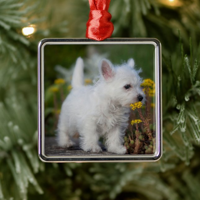 Cutest Baby Animals | West Highland White Terrier Metal Tree Decoration (Tree)