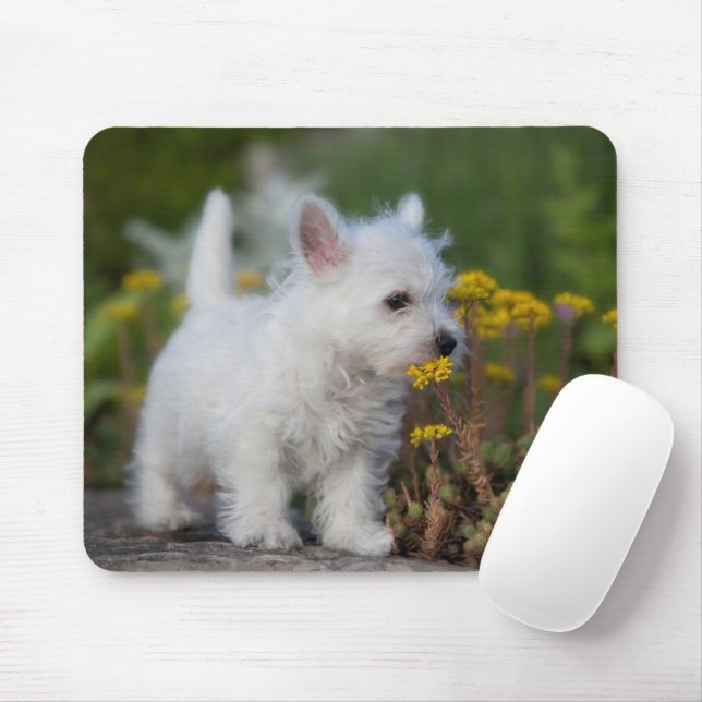 Cutest Baby Animals | West Highland White Terrier Mouse Mat (With Mouse)