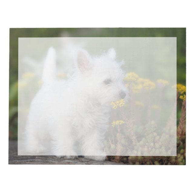Cutest Baby Animals | West Highland White Terrier Notepad (Front)