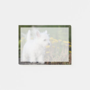 Cutest Baby Animals West Highland White Terrier Post-it Notes