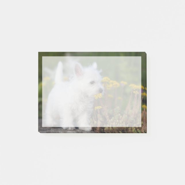 Cutest Baby Animals | West Highland White Terrier Post-it Notes (Front)