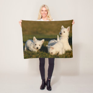 Cutest Baby Animals   West Highland White Terriers Fleece Blanket