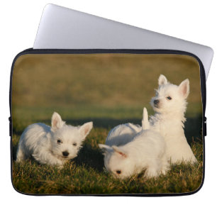 Cutest Baby Animals   West Highland White Terriers Laptop Sleeve