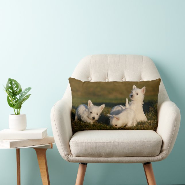 Cutest Baby Animals | West Highland White Terriers Lumbar Cushion (Chair)