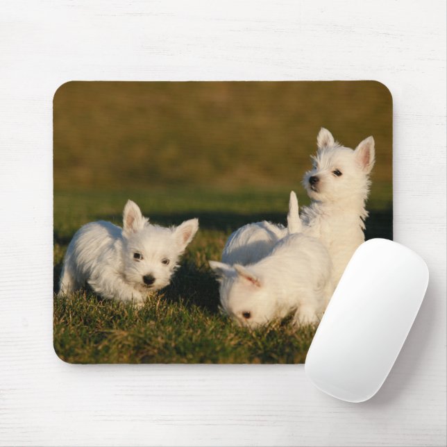 Cutest Baby Animals | West Highland White Terriers Mouse Mat (With Mouse)