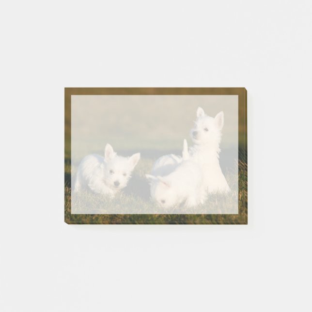 Cutest Baby Animals | West Highland White Terriers Post-it Notes (Front)