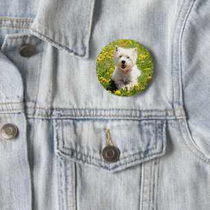 Cutest Baby Animals   Westie Dog in Dandelions 6 Cm Round Badge
