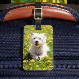 Cutest Baby Animals   Westie Dog in Dandelions Luggage Tag