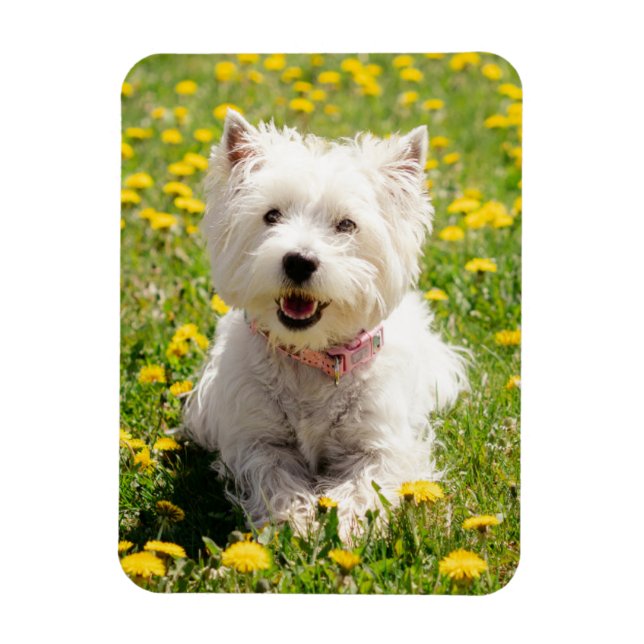 Cutest Baby Animals | Westie Dog in Dandelions Magnet (Vertical)