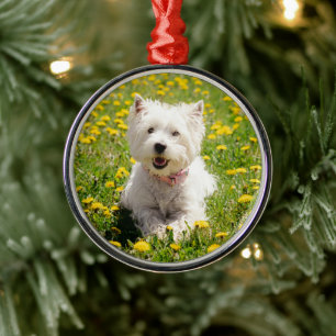 Cutest Baby Animals   Westie Dog in Dandelions Metal Tree Decoration