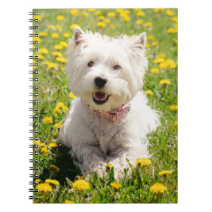 Cutest Baby Animals   Westie Dog in Dandelions Notebook