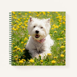 Cutest Baby Animals   Westie Dog in Dandelions Notebook