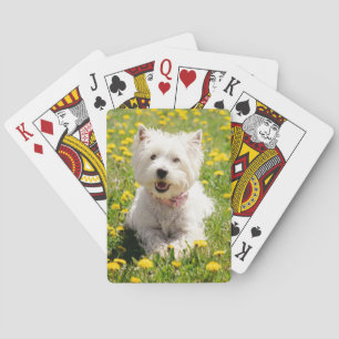 Cutest Baby Animals Westie Dog in Dandelions Playing Cards