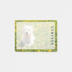 Cutest Baby Animals   Westie Dog in Dandelions Post-it Notes