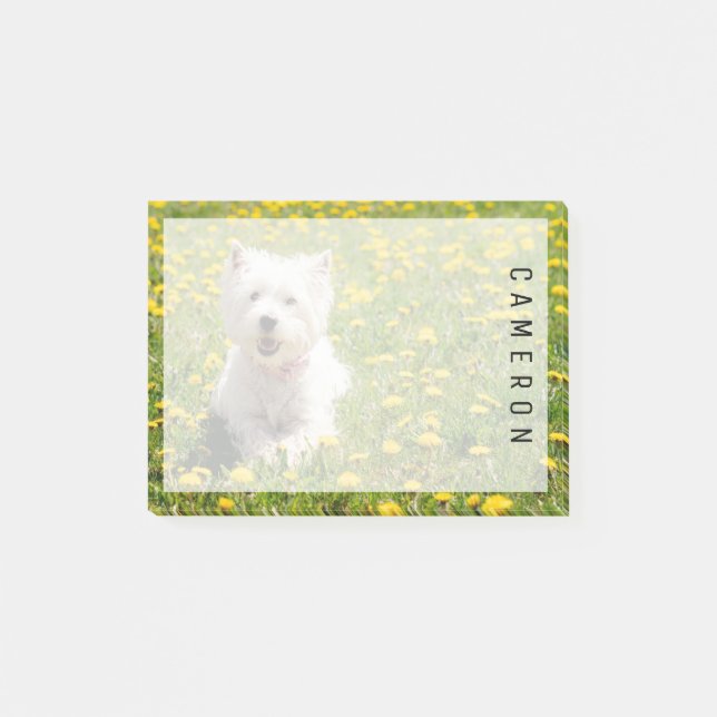 Cutest Baby Animals | Westie Dog in Dandelions Post-it Notes (Front)